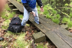 Puncheon Crew repairing a bridge on a trail behind the HNC
