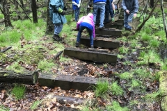 Puncheon Crew repairing a bridge on a trail behind the HNC