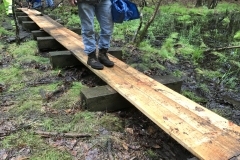 Puncheon Crew repairing a bridge on a trail behind the HNC