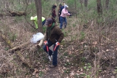 Clearing back the overgrown brush back